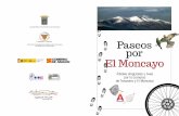 Paseos - SDL Investigación y Divulgación del Medio Ambiente MONCAYO .pdf · 2014-02-24 · Paseos por El Moncayo Árboles singulares y Aves por la comarca de Tarazona y El Moncayo