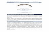 CLASE MALACOSTRACA Orden Bathynellaceasea-entomologia.org/IDE@/revista_79.pdf · 2015-08-14 · Revista IDE@-SEA, nº 79 Ibero Diversidad Entomológica @ccesible Clase: Malacostraca