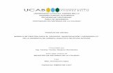 UNIVERSIDAD CATÓLICA AANDRÉS BELLO VICERRECTORADO …biblioteca2.ucab.edu.ve/anexos/biblioteca/marc/texto/AAT4699.pdf · En la ciudad de Caracas, a los 9 días del mes de enero