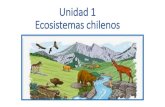 Unidad 1 Ecosistemas chilenos - Luis Campino Digitalluiscampinodigital.cl/.../03/Cs.Naturales_4b_U1.pdf · Unidad 1 Ecosistemas chilenos. ECOSISTEMAS ... permiten sobrevivir en los