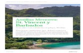 St. Vincent y Antillas Menores: Barbados · Aquí tendremos la oportunidad de ... Si vas a estar todo el día en la playa, no te olvides de la crema solar, algo para cubrirte la cabeza