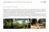 ECOSISTEMA - Biomimicry Argentina · PROYECTO INSPERIENCE #inspiracion #meditacion #vision DELTA TIGREECOSISTEMA FLORA Entre las especies vegetales más comunes se encuentran árboles