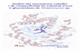 β-glucosidasa de Streptomyces sp. · Característiques del mecanisme catalític de les β-glucosidases de la familia 1 I.6. Interaccions no covalents amb el substrat I.7. Síntesi