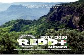 2017-2030 · 2018-10-29 · Los ecosistemas forestales en el Cambio Climático 22 III Marco legal e institucional 34 IV Orientaciones de REDD+ en México 46 V Componentes de la ENAREDD+