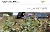Indicadores de Cultivos Ilícitos en el Ecuador 2014€¦ · UNODC Indicadores de Cultivos Ilícitos en el Ecuador 2014 3 Prólogo Con el finde garantizarla convivencia pacíficade
