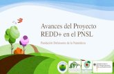 Avances del Proyecto REDD+ en el PNSL › Multimedios › 1232.pdf · 2015-06-11 · Avances del Proyecto REDD+ en el PNSL Fundación Defensores de la Naturaleza . Antecedentes •