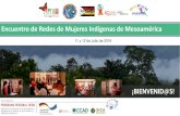 Presentación de PowerPointreddccadgiz.org/documentos/doc_1346142109.pdfRMIB, RACCN Sept 2019 1.4 CLPI con mujeres indígenas 1.3 Participación en el ámbito CICA CICA ECMIA, AMICAM,