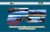 Programa de Producción Forestal y Medio Ambiente · 7 Medidas para la conservación del paisaj e.....23 7.1 Cosecha Foresta l ... la presentación y cumplimiento de los planes de