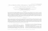 Diversidad de áfidos (Hemiptera: Aphidoidea) en Chilerchn.biologiachile.cl/pdfs/1997/4/Fuentes-Contreras_et...ticorena & Quezada (1985) para plantas nativas (con la única exepción