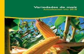 Variedades de maíz › pdfs › 7656.pdfen las que es cultivado, desde hace años, empresas de diversos países se han dedi-cado a mejorar genéticamente numerosos caracteres de la