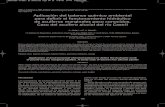 Aplicación del balance químico ambiental para definir el … 13.pdf · 2014-03-10 · Jódar, J. y Alcalá, F. J., 2008. Aplicación del balance químico ambiental para definir