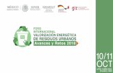 EL MERCADO DE BIOENERGÉTICOS EN MÉXICO oct Efrain... · 2018-10-17 · 1. Reforma Energética La Reforma Energética en México tiene tres principales ejes rectores: Fortalecimiento