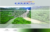 ESTUDIOS DE PREFACTIBILIDAD INFORME FINAL Resumen HIDROELÉCTRICO Ejecutivo …historico.energia.gob.ec/wp-content/uploads/downloads/20... · 2018-07-05 · INFORME FINAL Resumen