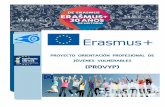 PROYECTO ORIENTACIÓN PROFESIONAL DE JÓVENES … · ropea de Empleo, la Estrategia de Empleo Juvenil y la Agen-da Europea para el aprendizaje de adultos, el proyecto Orientación