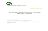 Incendios Forestales en España - conama9.conama.org · Nota: La Comunicación Técnica consistirá en una adaptación y actualización del informe de ISTAS/CCOO 'Evolución de los
