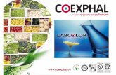 Presentación final lFEPEX (2) - INIA · •110 empresas asociadas a COEXPHAL-FAECA • Más del 70% de la exportación almeriense • Más de 35.000 trabajadores de 150 nacionalidades