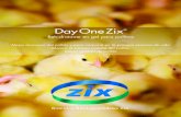 Day One Zix - Inicio - BBZIXEn las bandejas de la incubadora después de la clasificación de los pollitos. En el camión de transporte. En la recepción de pollitos en la granja aplicado