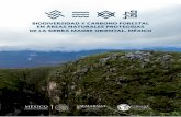 Biodiversidad y carBono forestal en Áreas naturales ...€¦ · Estimación y valoración de los acervos y potencial de captura de carbono en cuatro áreas protegidas de la Sierra