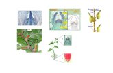 tejidos vegetales - PORTAL DE CIENCIAS · Microsoft PowerPoint - tejidos vegetales.ppt Author: Administrador Created Date: 1/15/2009 11:21:47 AM ...