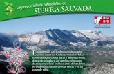 Lugares de interés naturalístico de SIERRA SALVADA · a cumbre del Txarlazo es una de las más frecuen-tadas por montañeros y excursionistas ocasionales. Sobre ella se erige la