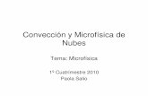 Convección y Microfísica de Nubesconveccion.at.fcen.uba.ar/teoricas/clase_4_2010.pdfMétodo #1: Depósito de Vapor Involucra moléculas de vapor y la presencia de un núcleo glaciógeno
