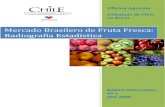 Mercado Brasilero de Fruta Fresca: Radiografía Estadísticanewsflash.asoex.cl/userfiles/file/163_Informativo1_Brasil.pdf · Oficina Agrícola Embajada de Chile en Brasil Boletín