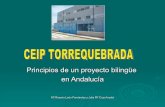 Principios de un proyecto bilingüe en Andalucía › 2008 › 10 › orientaciones-3.pdf · 2008-10-05 · El Plan de Fomento del Plurilingüísmo es el fruto del interés de la