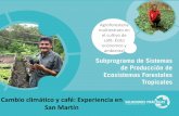 Cambio climático y café: Experiencia en San Martíninterclima.minam.gob.pe › Presentaciones › 2015 › Dia3 › ... · •El modelo MaxEnt indica que al 2050, existirá una