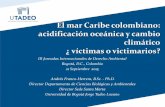 El mar Caribe colombiano: acidificación oceánica y cambio ... · Queremos ser parte del “esquema comercial” de la emisión y captura de CO2, antes visto solo como un “esquema