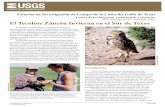 El Tecolote Zancon Inviena en el Sur de Texasen peligro de extinción, y en México se encuentra amenazada. Actualmente en los Estados Unidos, el Servicio de Pesca y Vida Silvestre