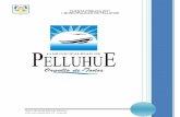 PUBLICA 2011 - Pelluhue · para el Fortalecimiento Municipal, Subsecretaria de Desarrollo Regional Administrativo.- $20.000.000.- 46. Convenio de Transferencia de Recursos Subsecretaria