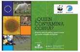 ¿QUIEN CONTAMINA COBRA? · 2011-12-05 · SEO/BirdLife y WWF exigen que se apoye a quien conserve y que quien contamine no cobre Estas ONG solicitan una modificación urgente en
