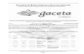 Secretaría de Medio Ambiente y Recursos Naturales ...sinat.semarnat.gob.mx/Gacetas/archivos2004/gaceta_48-04.pdfcv - s/n c.t. p.e.e. altamira v (predio adicional y obras asociadas: