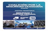 Seguridad y Justicia Criminal - Mejoremos Guate · En este documento se hace una revisión de los avances de los indicadores de seguridad ciudadana hasta julio de 2019. Se presentan