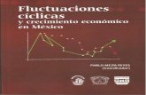 rifcce.com€¦ · Deuda, infiación y crecimiento económico de las entidades federativas en México 1993-2010: un análisis de vectores autorregresivos con datos panel Alfonso Mendoza