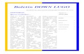 Boletín DOWN LUGOn-DL-nº11.pdf · Síndrome de Down que queiran traballar teñan a posibilidade de facelo. Correspóndenos ás familias apoiar aos nosos fillos e fillas que desexan