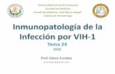 Cátedra de Inmunología Inmunopatología de la Infección por ... · Organización Genética del VIH-1 Emerman M; Current Biology 1996; 6(9):1096-1103 Proteínas Estructurales •Gag: