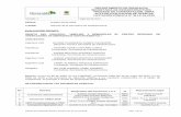 DEPARTAMENTO DE RISARALDA SECRETARIA DE …aplicaciones.risaralda.gov.co/Modulos/Contratacion/... · LICITACIÓN PÚBLICA Nº SI-LP-16-2019 Versión: 1 Vigencia 05-2013 Informe de