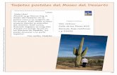 Tarjetas postales del Museo del Desierto · Tarjetas postales del Museo del Desierto Arizona: Museo del Desierto de Arizona-Sonora TARJETA POSTAL lunes ¡Hola Nick! Abuelito y yo