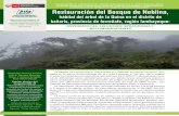 PERÚ Ministerio de Agricultura y Riego Restauración del Bosque de …repositorio.inia.gob.pe/bitstream/inia/577/1/Gomez... · 2018-02-06 · PERÚ Ministerio de Agricultura y Riego