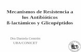 Mecanismos de Resistencia a Antibióticos Clase 10... · Alta frecuencia de aislamientos multirresistentes a nivel mundial Mayor porcentaje de cepas multirresistentes en nuestro país