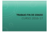 TRABAJO FIN DE GRADO CURSO 2016-17 - UMHTFGSCURSO 2016-17 INFORMACIÓNGENERAL Estructura del TFG 1. Índice 2. Resumen en español y en inglés 3. Introducción, Hipótesis de trabajo