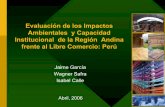 Presentación de PowerPoint...Evaluación de los Impactos Ambientales y Capacidad Institucional de la Región Andina frente al Libre Comercio: Perú Jaime García Wagner Safra Objetivo
