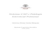 Sistemas CAD e Patologia Intersticial Pulmonar › ~tavares › downloads › ..._____Sistemas CAD e Patologia Intersticial Pulmonar MEB – TP de Verónica Eloisa Varela Marques 6