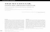 Trauma vascular, visión del cirujano vascular687 [TRAUMA VASCULAR, VISIÓN DEL CIRUJANO VASCULAR - DR. CRISTIÁN SALAS D.] INTRODUCCIÓN La primera reparación arterial conocida en