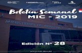 Presentación de PowerPoint › mic › w › pdf › boletines_mic › BOLETIN_MIC_Nro... · 2019-11-11 · Experiencia Ggeneral: Minima de 6 añ0S, contados desde la obtención