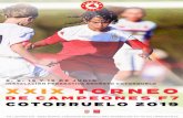 FÚTBOL FORMATIVO (FÚTBOL 7)...En esta competición los campeones de los dos grupos de la Liga regular, jugarán el domingo 16 la gran Final. FINAL ALEVÍN FEMENINO Domingo 16 CAMPO