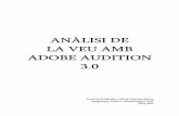 ANÀLISI DE LA VEU AMB ADOBE AUDITION 3 › xavier.gracia › musmat › treballs › ... · 2020-06-21 · En un so musical la intensitat dels diferents parcials pot variar amb el