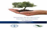 Situación de los Recursos Genéticos Forestales en México4.11. Presentación pública de los materiales genéticos forestales mejorados 71 4.12. Prioridades para mejorar la conservación