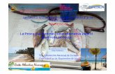 Pesca y Turismo 1 como alternativa para el desarrollo Humano 270910.ppt … Documentos... · 2019-01-31 · Instituto Nicaragüense de la Pesca y la Acuicultura (INPESCA) La Pesca